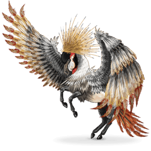 vtáčí putovný kôň balearica