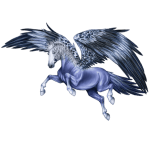 vtáčí putovný kôň melopsis