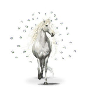 vtáčí putovný kôň pavos