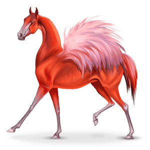 vtáčí putovný kôň phoenico